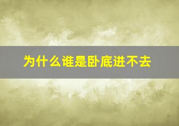 为什么谁是卧底进不去