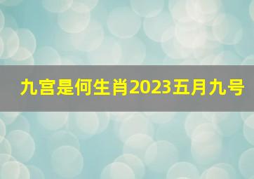 九宫是何生肖2023五月九号