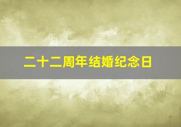 二十二周年结婚纪念日