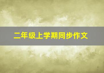 二年级上学期同步作文