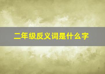 二年级反义词是什么字