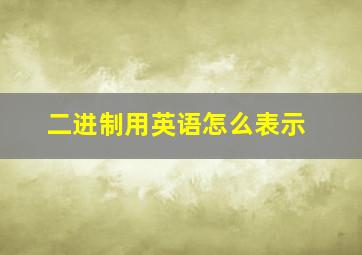 二进制用英语怎么表示