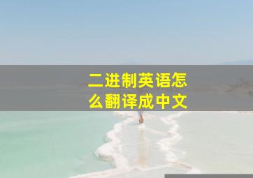 二进制英语怎么翻译成中文