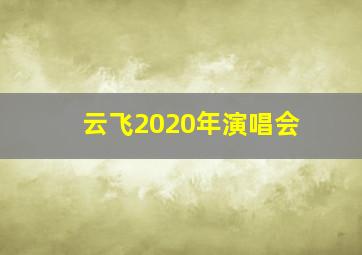 云飞2020年演唱会