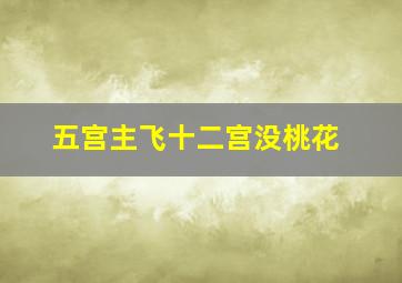 五宫主飞十二宫没桃花