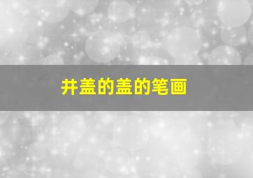 井盖的盖的笔画