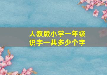 人教版小学一年级识字一共多少个字