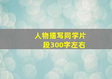 人物描写同学片段300字左右