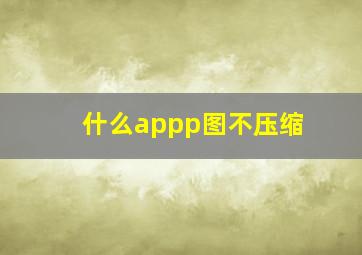 什么appp图不压缩