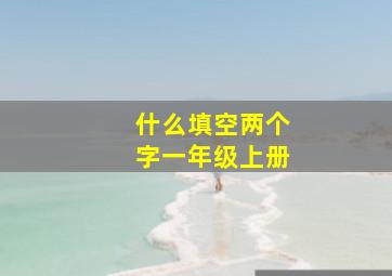 什么填空两个字一年级上册