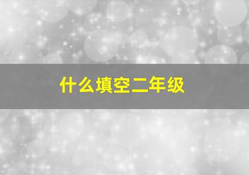 什么填空二年级