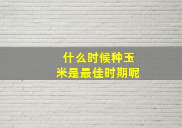 什么时候种玉米是最佳时期呢