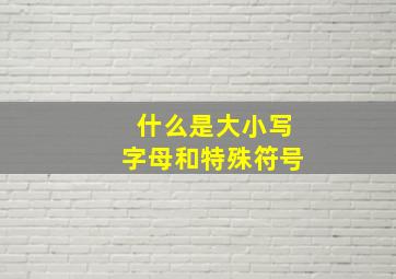 什么是大小写字母和特殊符号