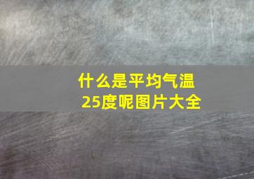 什么是平均气温25度呢图片大全