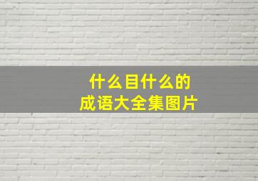 什么目什么的成语大全集图片