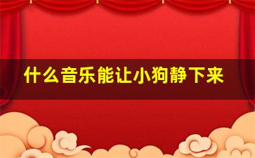 什么音乐能让小狗静下来