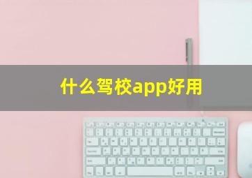 什么驾校app好用