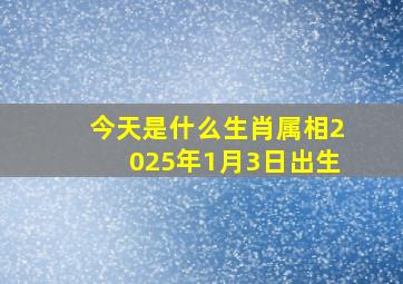 今天是什么生肖属相2025年1月3日出生