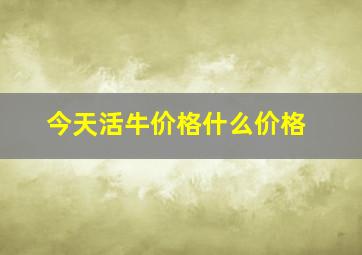 今天活牛价格什么价格