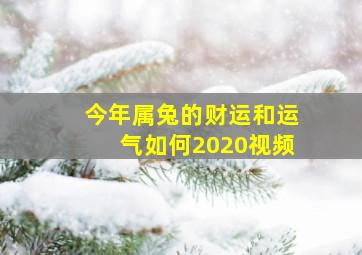 今年属兔的财运和运气如何2020视频