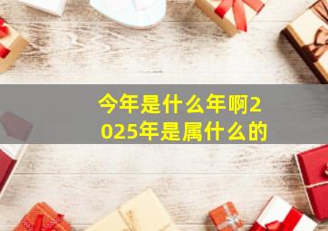 今年是什么年啊2025年是属什么的