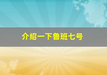 介绍一下鲁班七号