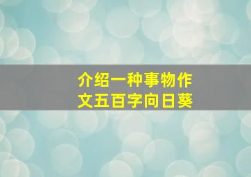 介绍一种事物作文五百字向日葵