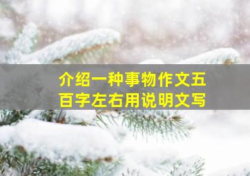 介绍一种事物作文五百字左右用说明文写