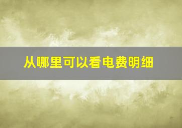 从哪里可以看电费明细