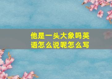 他是一头大象吗英语怎么说呢怎么写