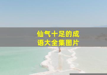 仙气十足的成语大全集图片