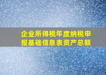 企业所得税年度纳税申报基础信息表资产总额