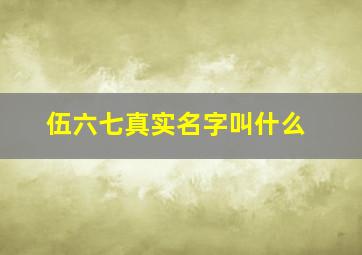 伍六七真实名字叫什么