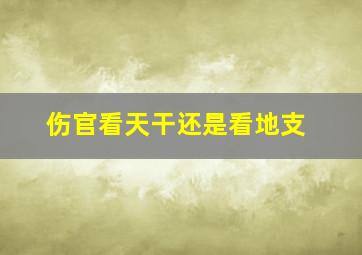 伤官看天干还是看地支