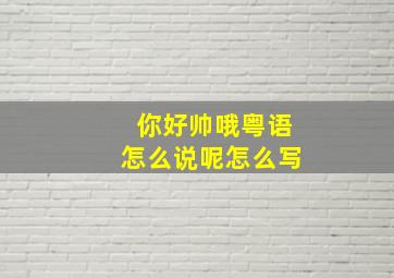 你好帅哦粤语怎么说呢怎么写