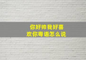 你好帅我好喜欢你粤语怎么说