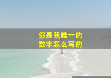 你是我唯一的数字怎么写的