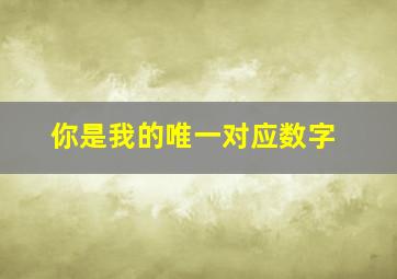 你是我的唯一对应数字