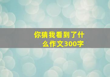 你猜我看到了什么作文300字