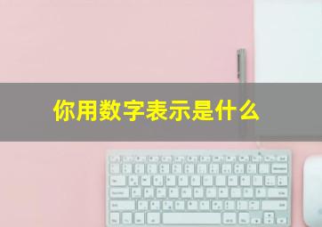 你用数字表示是什么