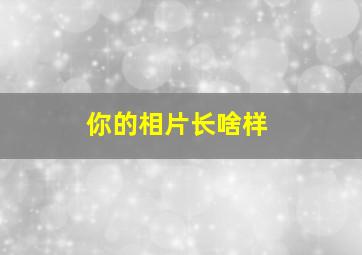 你的相片长啥样