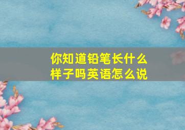 你知道铅笔长什么样子吗英语怎么说