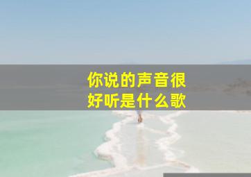 你说的声音很好听是什么歌