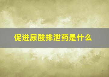 促进尿酸排泄药是什么