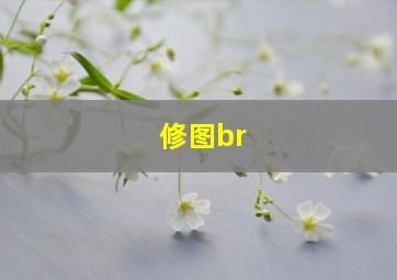 修图br