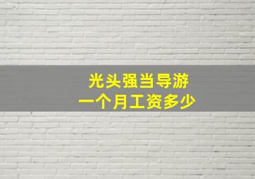 光头强当导游一个月工资多少