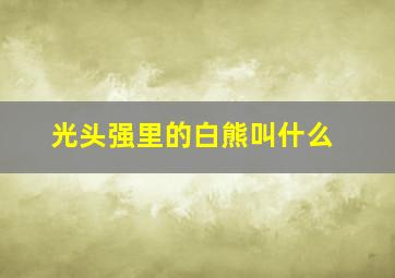 光头强里的白熊叫什么