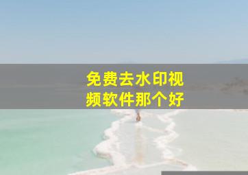 免费去水印视频软件那个好