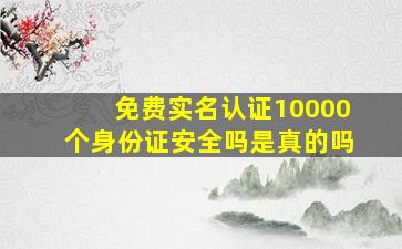 免费实名认证10000个身份证安全吗是真的吗