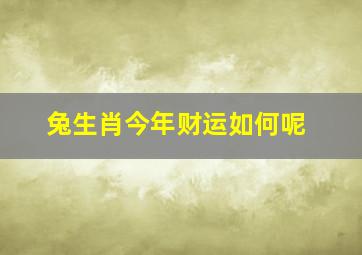 兔生肖今年财运如何呢